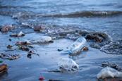 Plastic in the sea