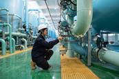 Employee inspecting chemical plant