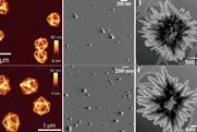 Three pairs of similar images three taken using microscopic techniques and three generated using AI