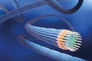 Multicellular cable bacteria fillaments