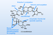 INDEX_nonthmicin_edited