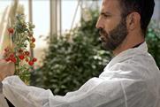Fede Ariel examining a tomato plant