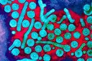 Hepatitis B