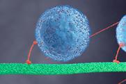 A short thin protein pulling a larger round protein along a long thin protein with another pair attached and following behind