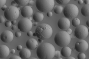 Microscopy image
