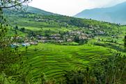 A village in the mountains of India surrounded by terraced farmland