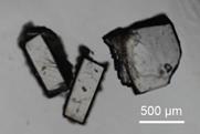 Three crystals with a scale showing they are about 300 to 500 micrometres across
