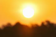 A photograph of the sun glaring in a clear sky