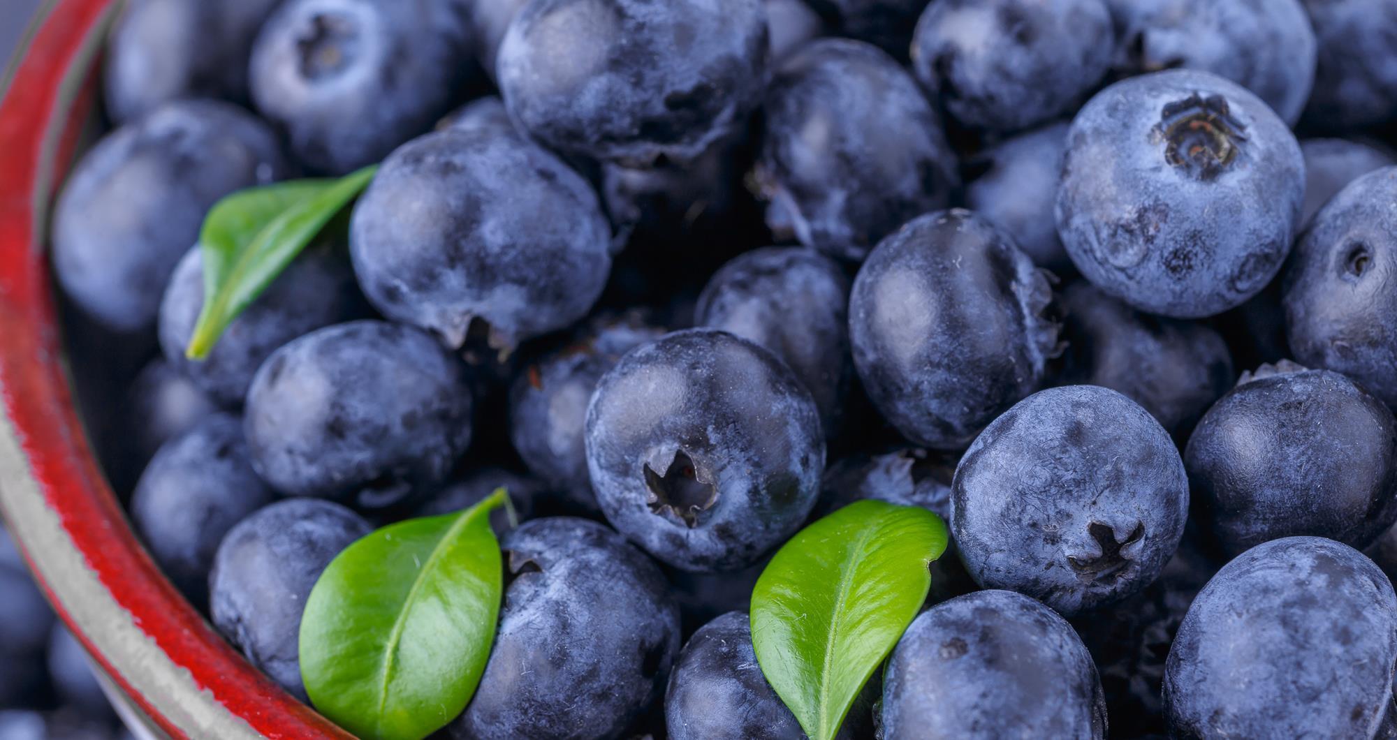 Blueberries’ blue is just skin deep, depending on structure not ...