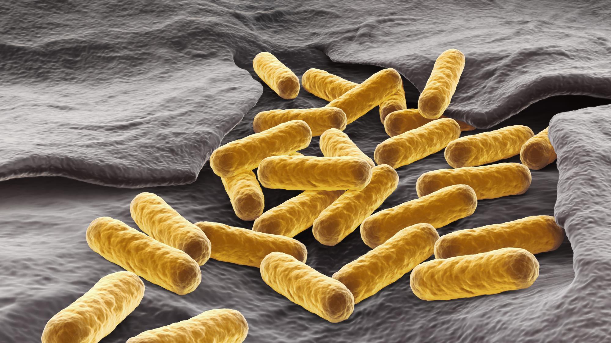 Bacterium forced to evolve to consume carbon dioxide to make biomass ...