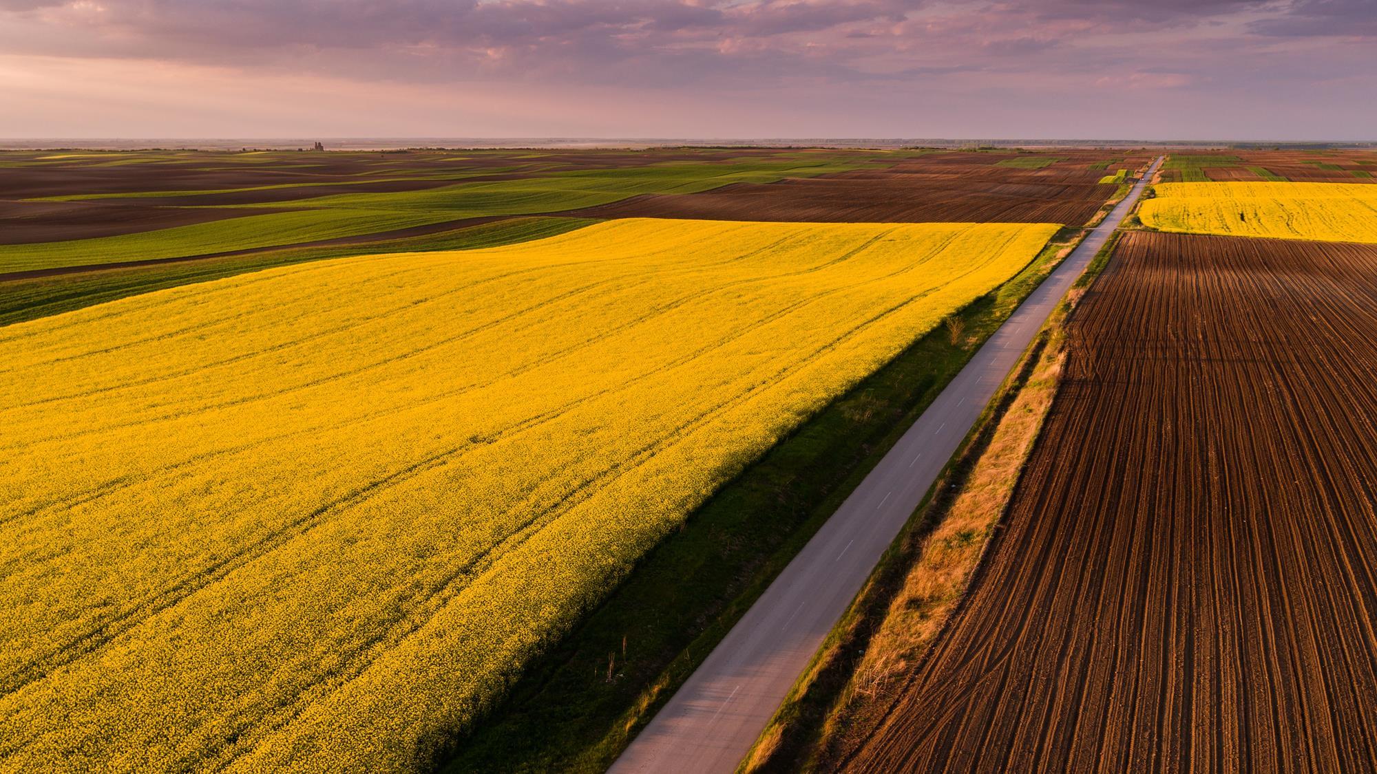 Bayer Monsanto merger momentum Business Chemistry World