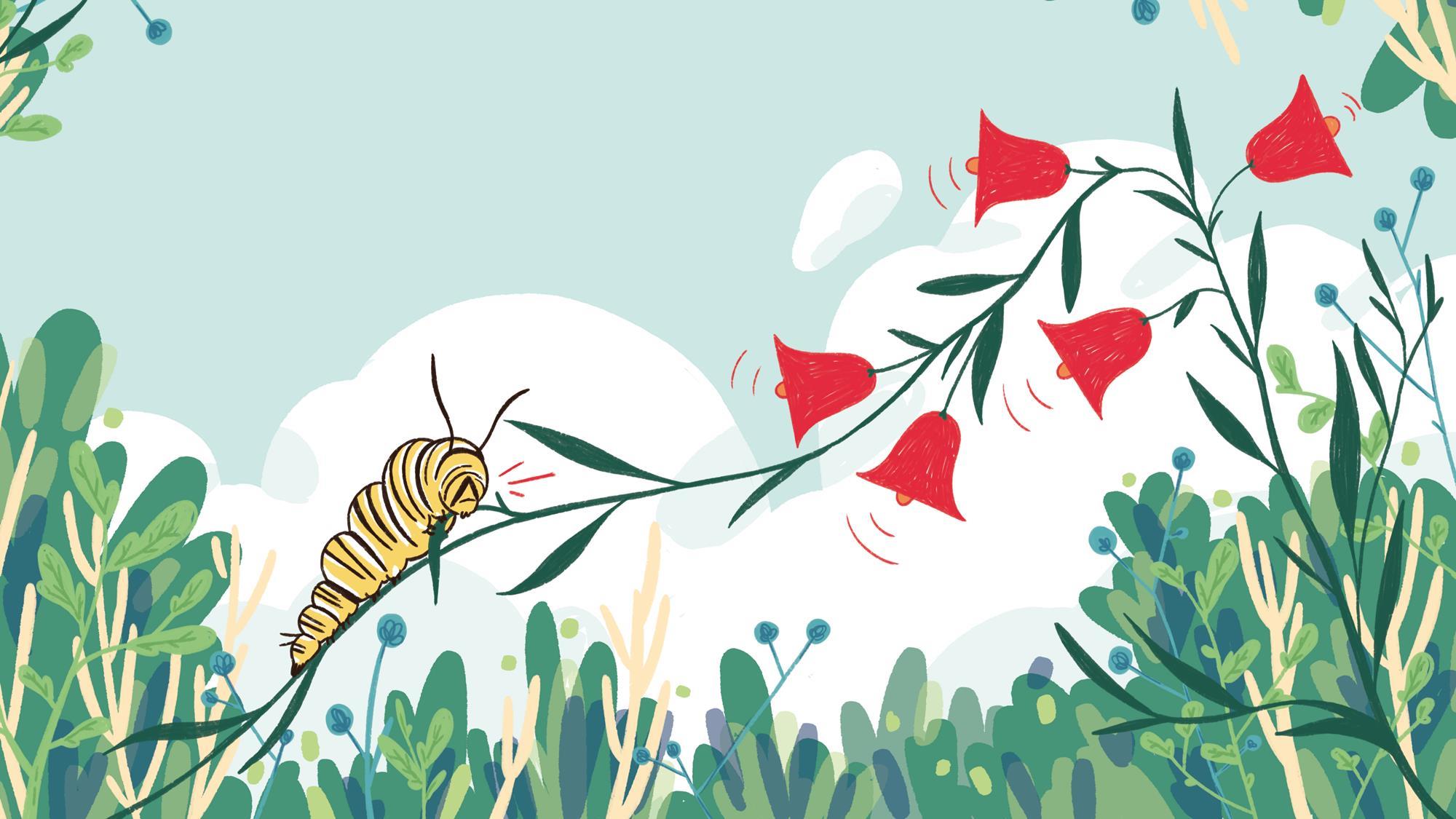 How do plants sense stress? Feature Chemistry World