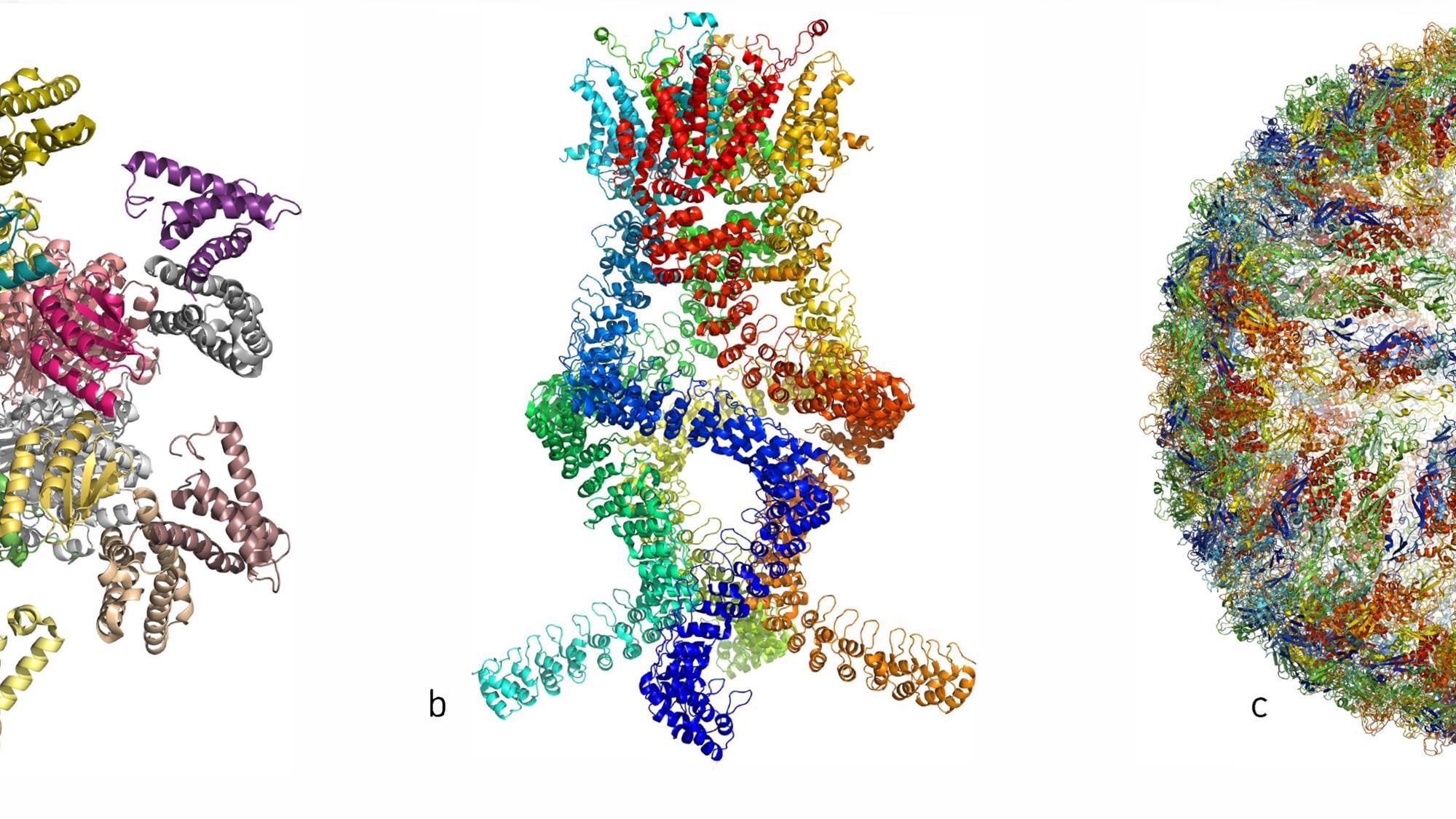 Explainer: What Is Cryo-electron Microscopy | News | Chemistry World