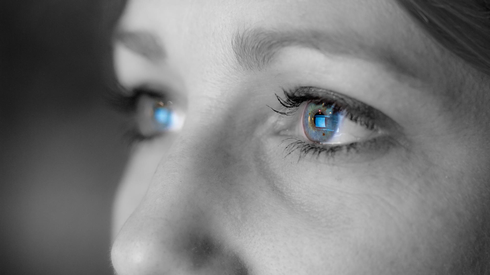 the screen with light sensitive cells in human eye