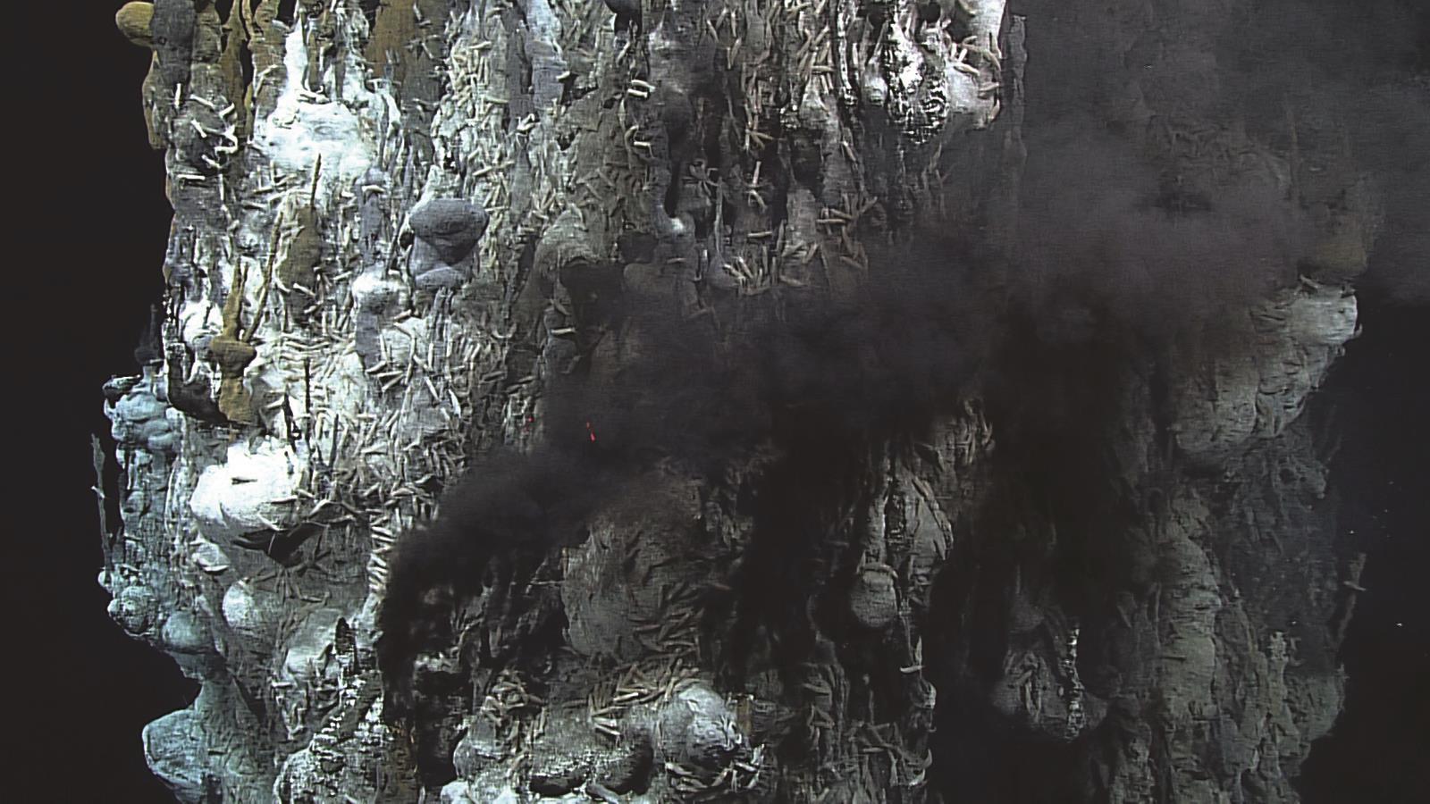 Hydrothermal vents and the origins of life Biology Diagrams