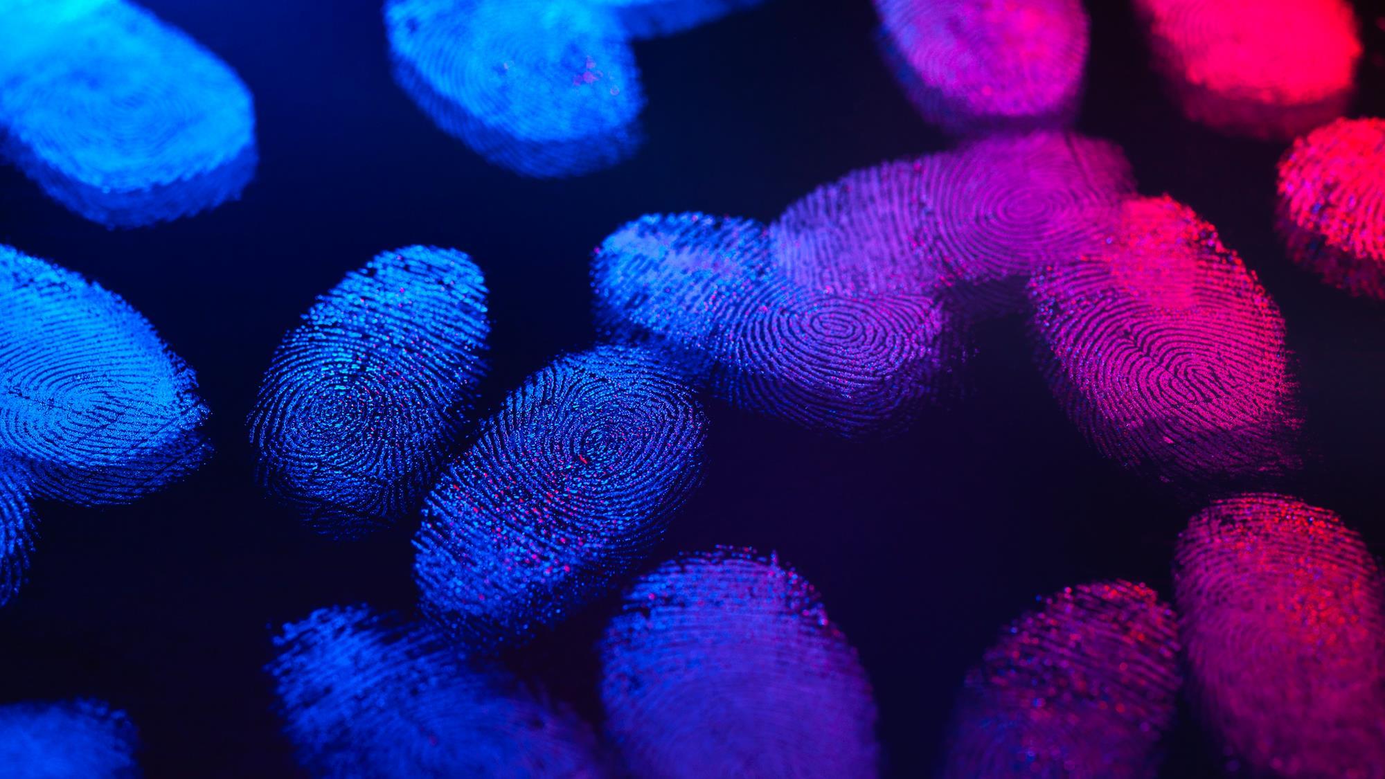 Individual proteins identified with world’s tiniest ruler | Research ...