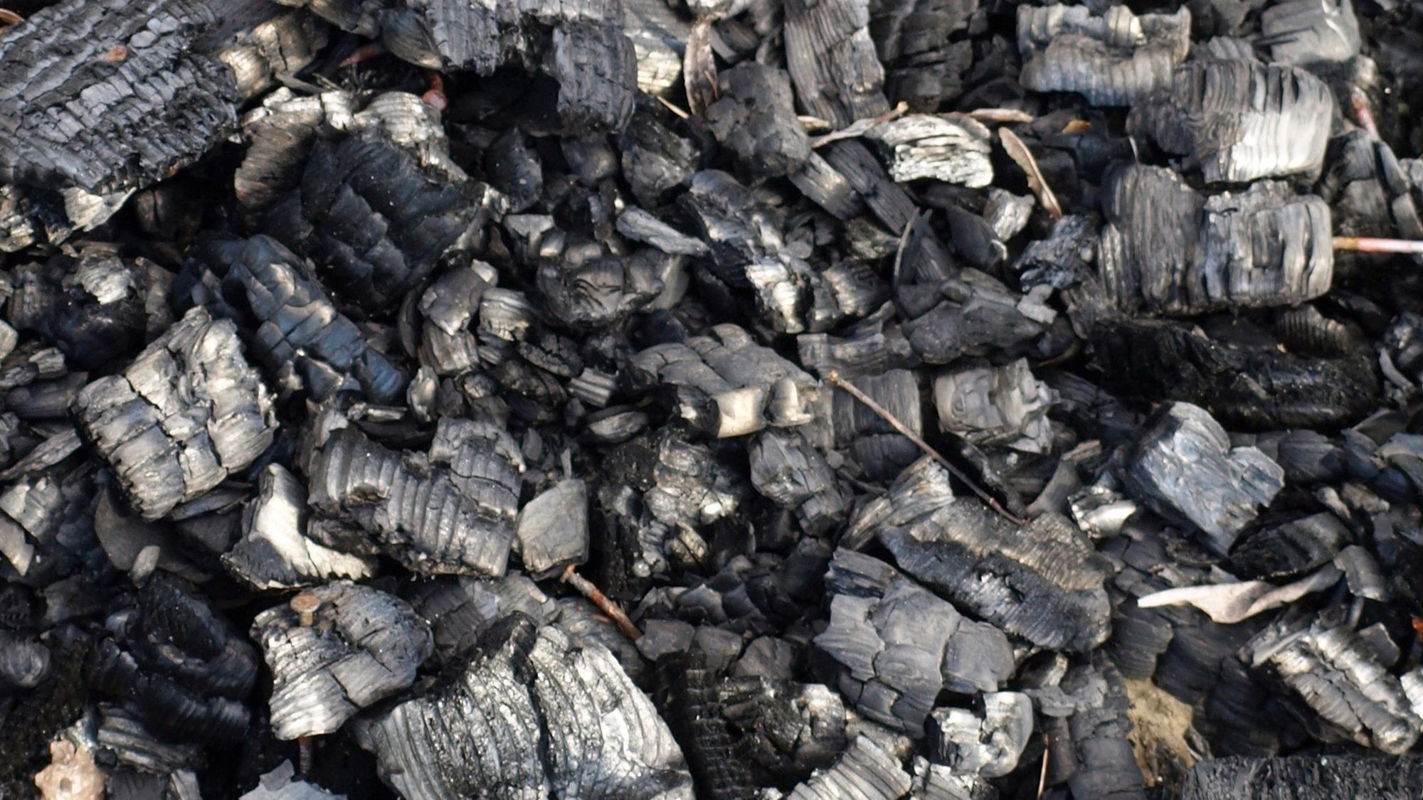 Biochar takes the pharmaceuticals out of urine | Research | Chemistry World