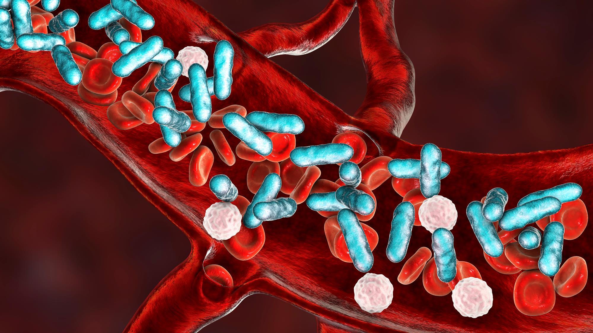  Test for antibiotic resistance genes provides answers within an hour 