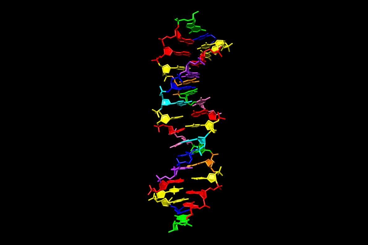 Eight-letter genetic code hints at how alien life might evolve ...