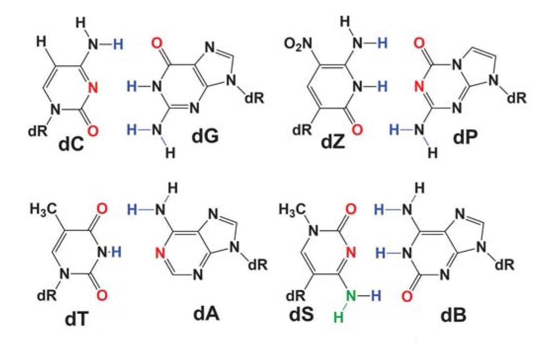 Eight Letter Genetic Code Hints At How Alien Life Might Evolve Research Chemistry World