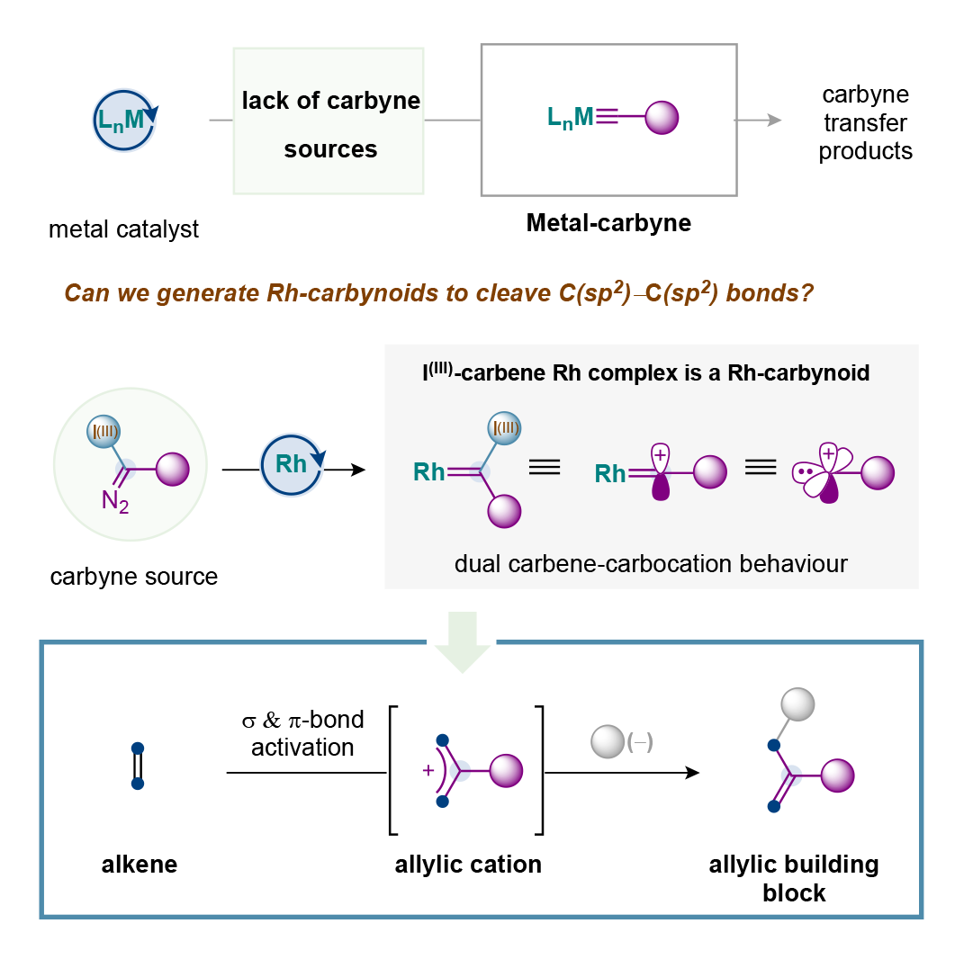 Carbynes Expand The Possibilities Of Carbon–carbon Double Bonds ...