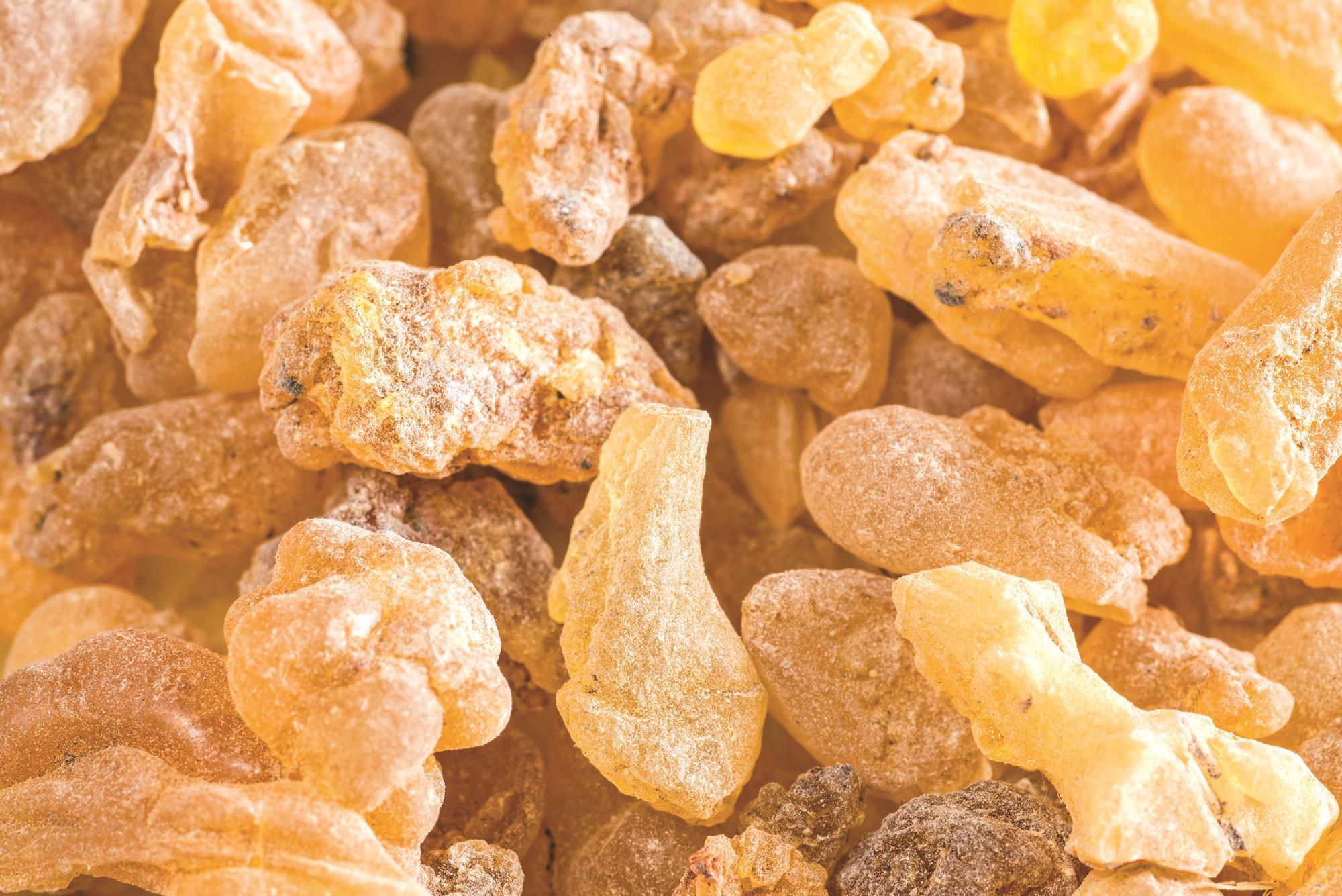 secret-of-frankincense-s-evocative-smell-unravelled-research