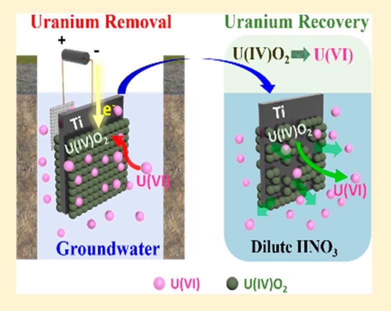 Uranium-reducing electrode cleans up groundwater | Research - Chemistry World