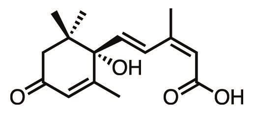 Explainer The Chemistry Of Autumn News Chemistry World