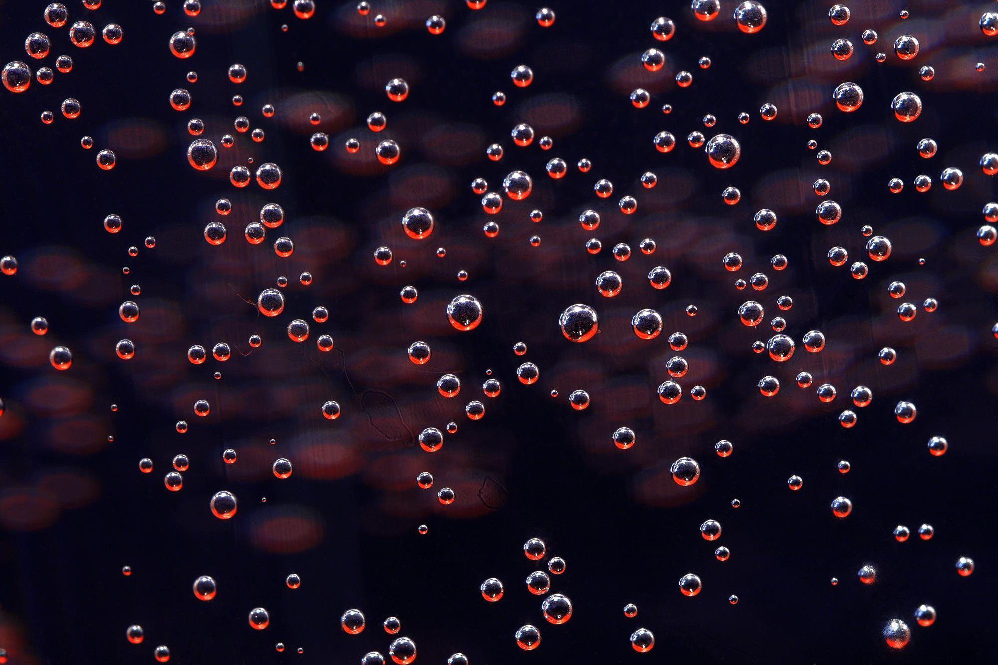 tiny bubbles lipton