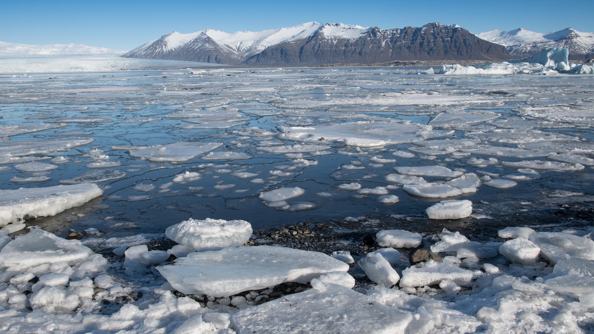 CFCs responsible for half of Arctic sea-ice loss - Chemistry World