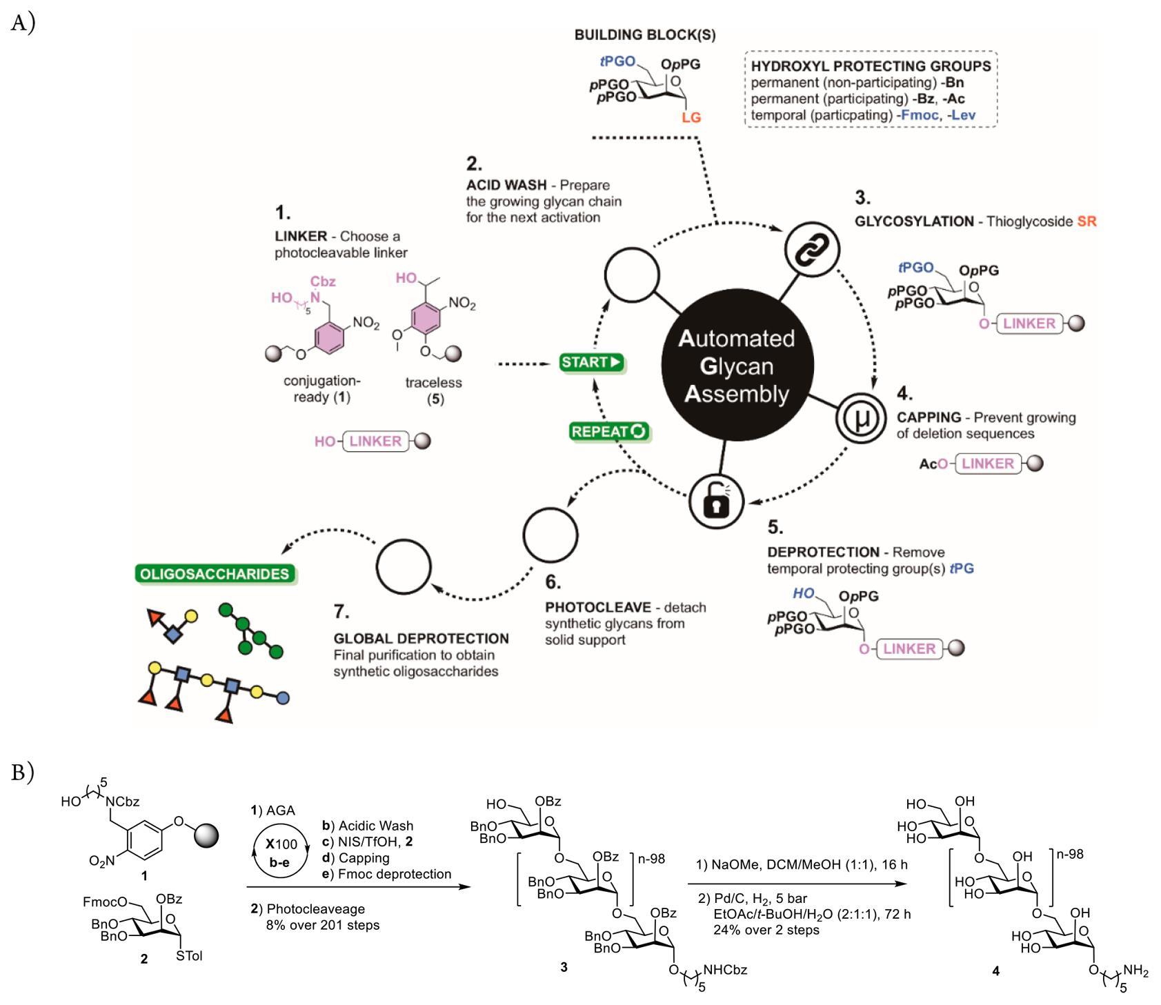 new horizons in carbohydrate research