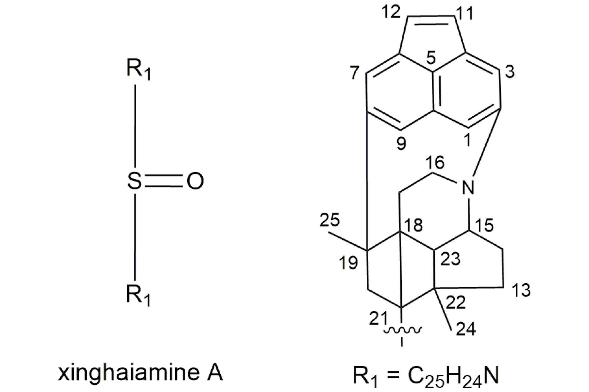 Bizarre chemical structure sinks paper five years later | News ...