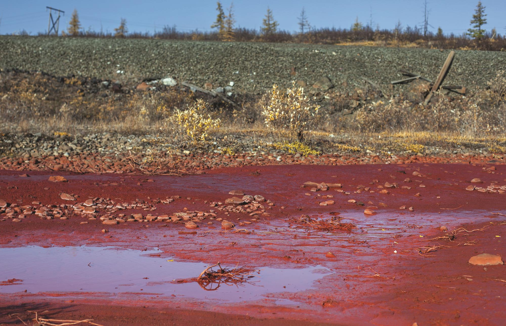 Russian nickel company takes blame for &lsquo;river of blood&rsquo; | News 