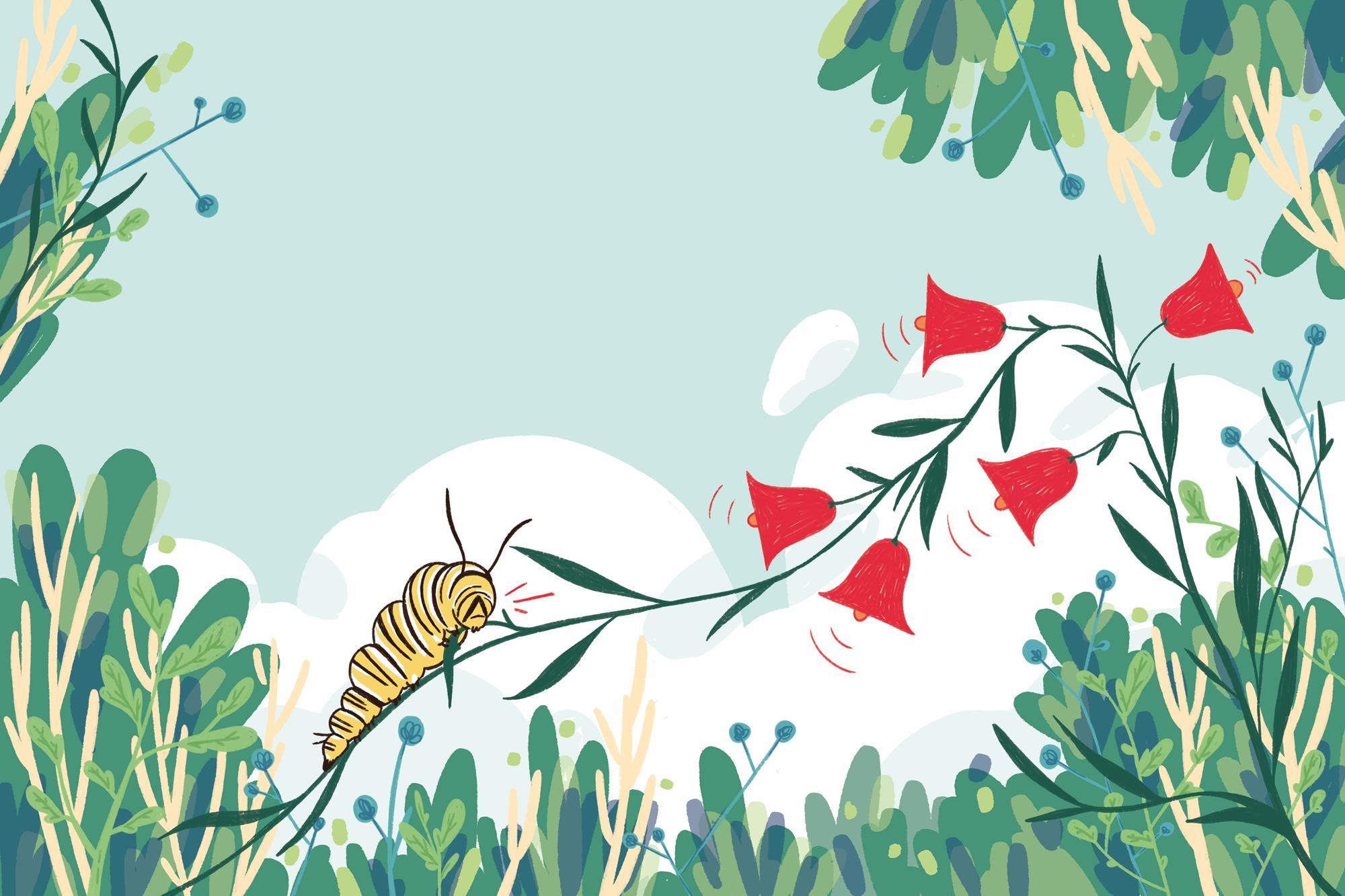 How do plants sense stress? | Feature | Chemistry World