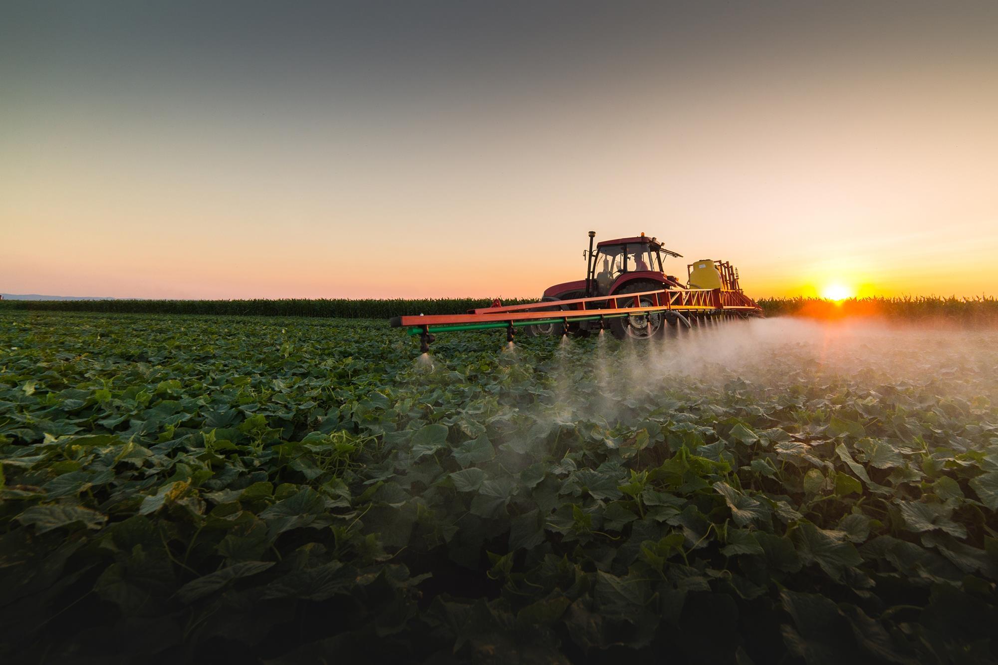 Eu Extends Glyphosate Licence By 5 Years Business Chemistry World