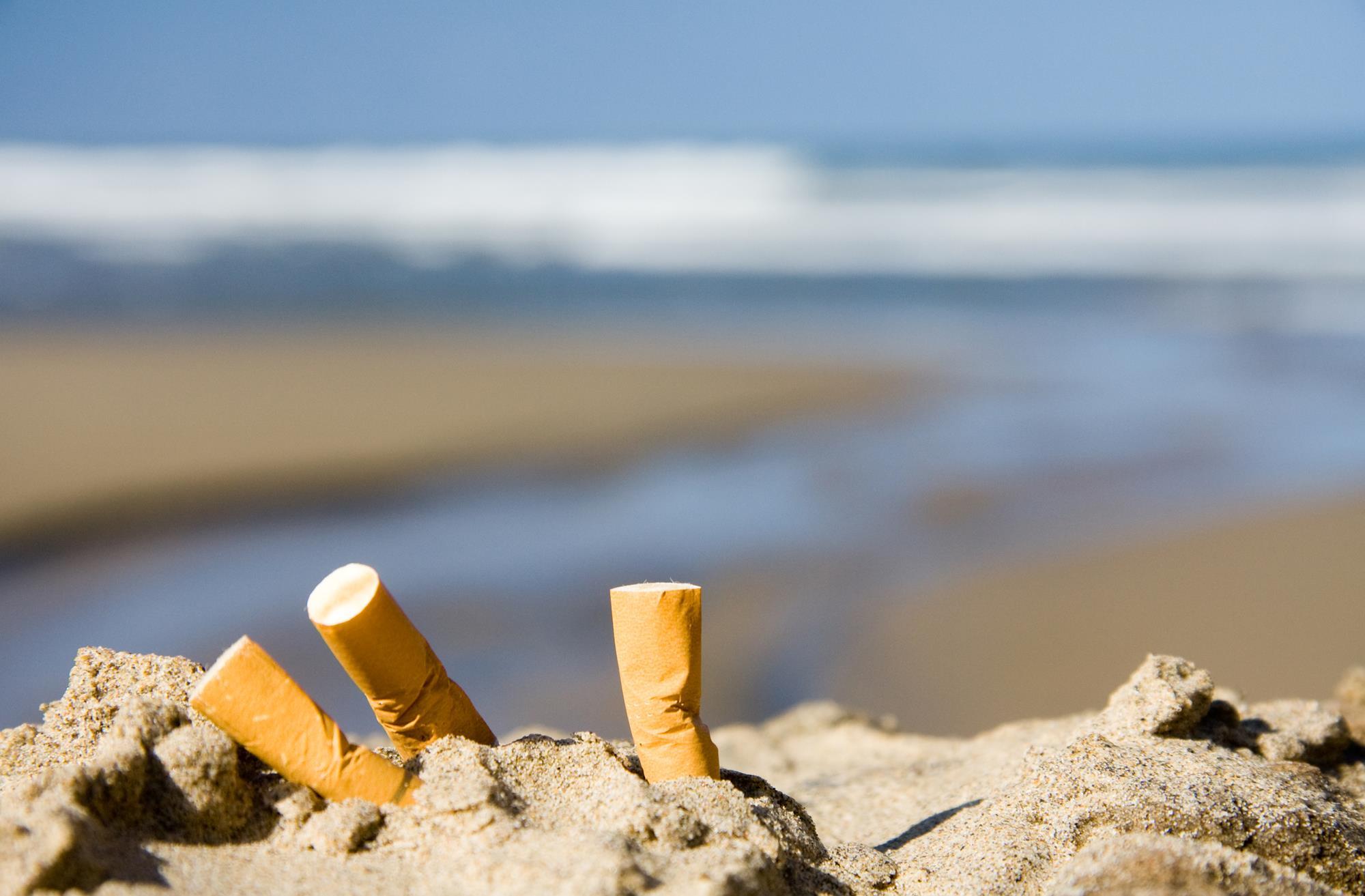 Metals leaching from discarded cigarettes found along the Persian Gulf |  Research