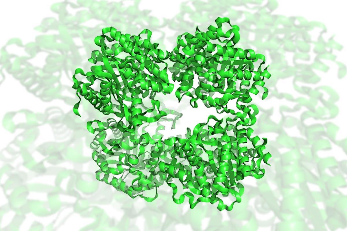 Enzyme Survives Blistering Conditions To Rapidly Break Down Cellulose Research Chemistry World