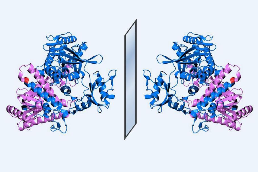 Mirror Image Enzyme Constructs Longest Ever Mirror Dna Strand Research Chemistry World