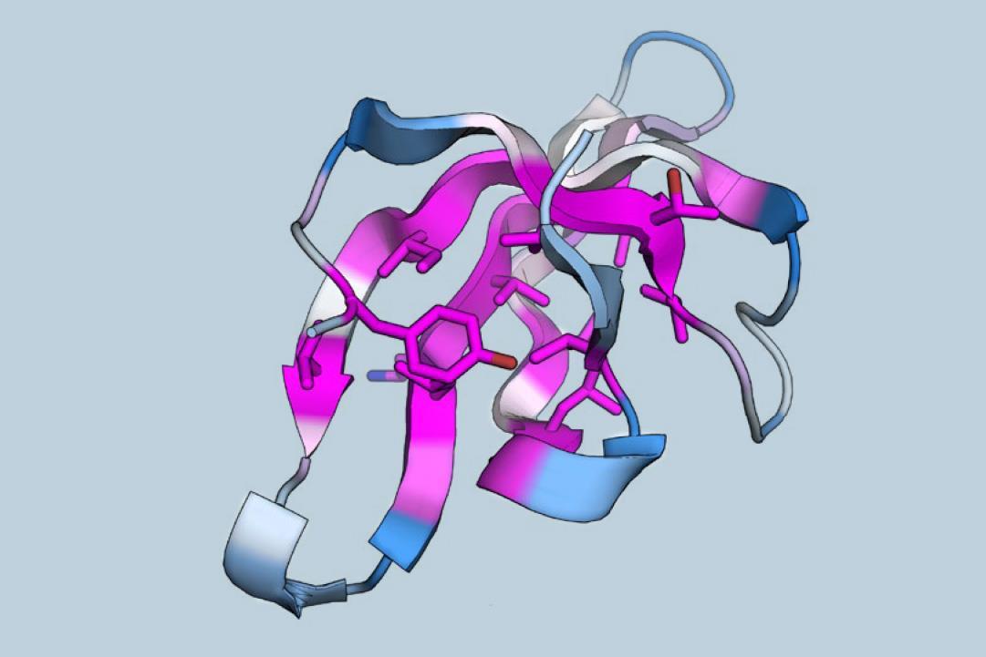 New method expertly evaluates protein folding stability on a large scale