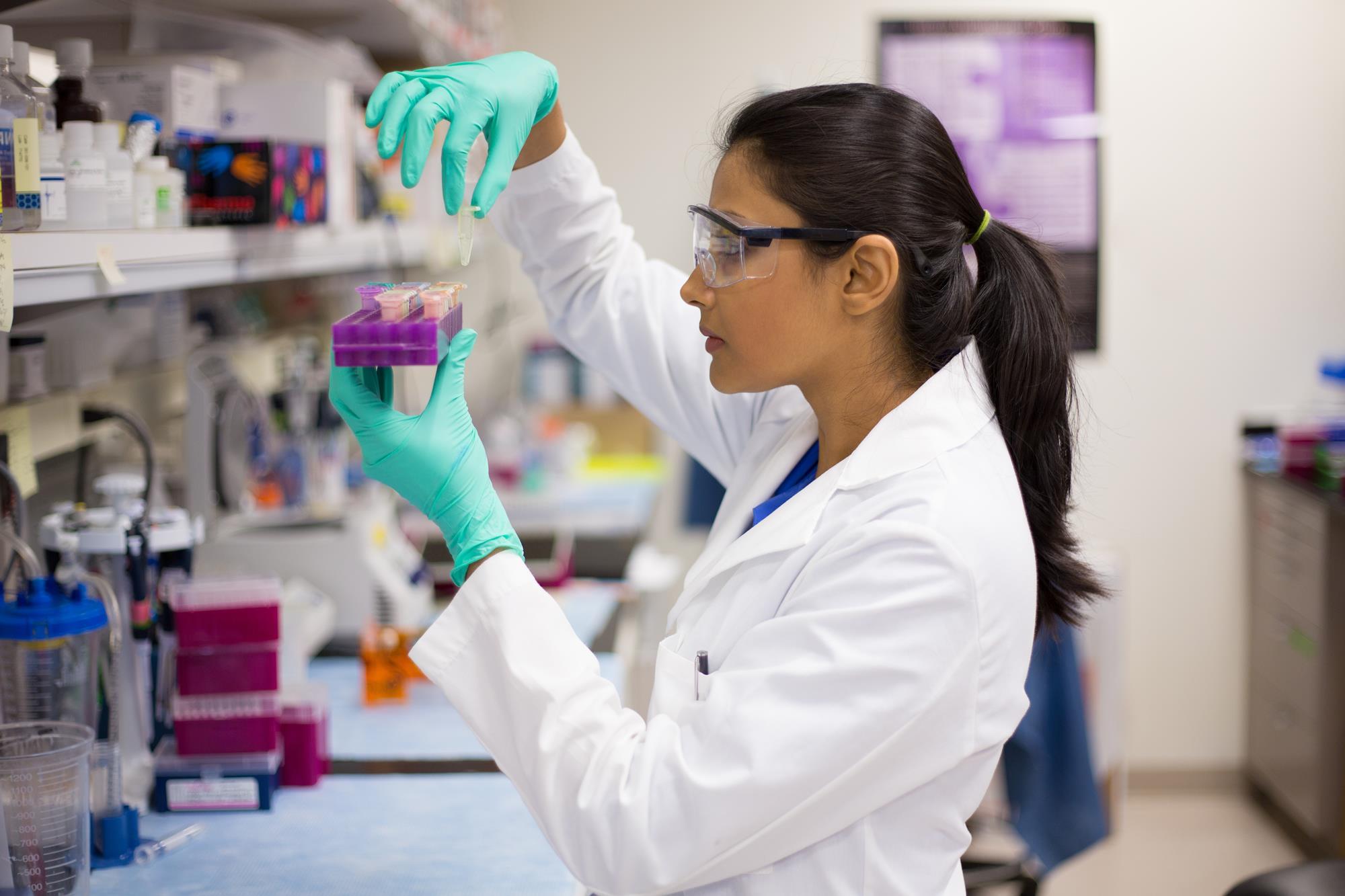 US universities told to sort out postdoc job titles chaos | News |  Chemistry World