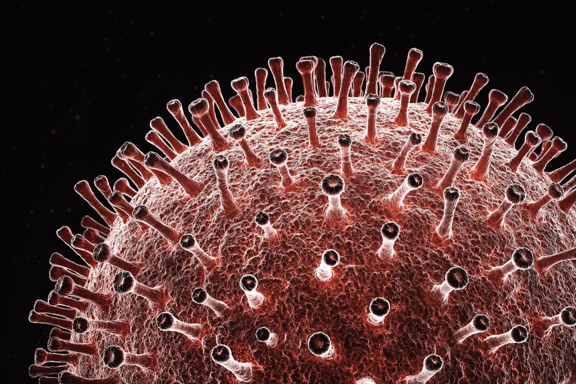 virus under microscope