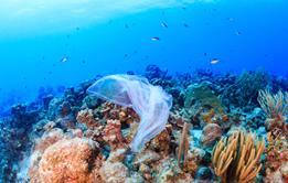 Plastic pollution: a discarded plastic rubbish bags floats on a tropical coral reef presenting a hazard to marine life