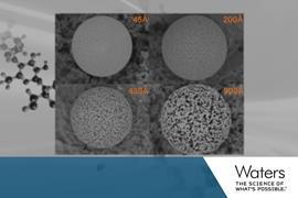 Micrograph showing the range of pore diameters Waters can manufacture