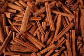 Dried cinnamon sticks
