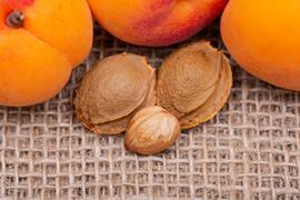 Apricot seeds and almonds