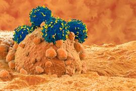 Cancer cell represented in orange on a dark orange background, covered by blue spheres with yellow segments representing CAR-T cells
