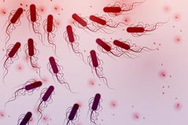 An image showing E coli