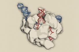 Crispr-Cas9 gene editing complex