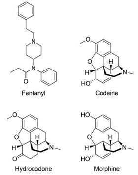 Molecular structures of organic compounds