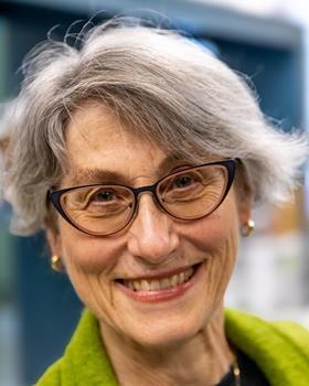 Portrait of Miriam L. Diamond, professor at the University of Toronto